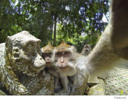 Фотоподборка за 13.08.2014 