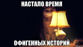 некоторые совсем даже ничего
улыбнуло