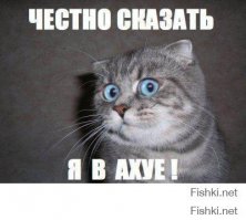 Как я бортовой компьютер запиливал 