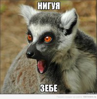с ума сойти. действительно монстры