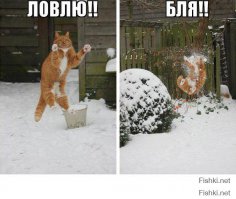 да, это конечно по кайфу 
но вот цены