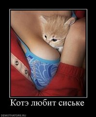 Открытки выходного дня