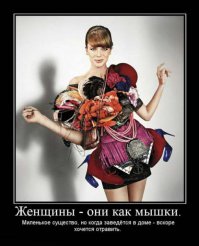 Женская логика