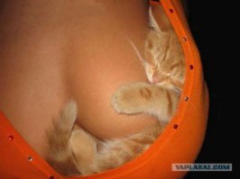 вот это:
правильные подушки