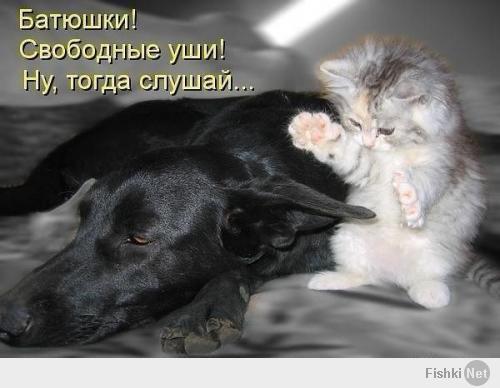 История одного вечера…