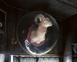 Сферический баран в вакууме
а целом...в любой глубинке люди похожи на них. Только эти- как то совсем грустные