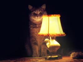 Короткие, но страшные истории
