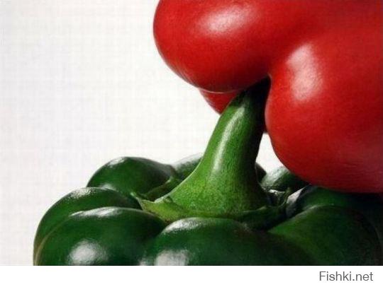 Фотоподборка за 10.10.2014