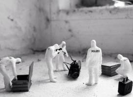 Фишкина солянка за 23.10.2014