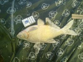 вот настоящая зимняя рыбалка