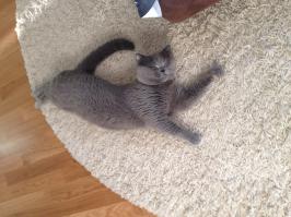 наш передает всем привет!