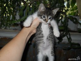 и он же через год