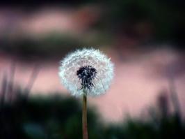 Лучшие фото сентября