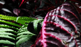 Вернуть не могу, но с удовольствием поделюсь своим:)