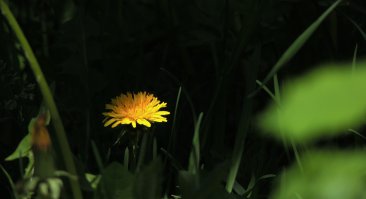 Вернуть не могу, но с удовольствием поделюсь своим:)