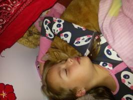 у меня кот слепой охотник мух и всех кто залетит в окно :) слепота ему не мешает с дочкой спят в обнимку.к мужу ревнует:)