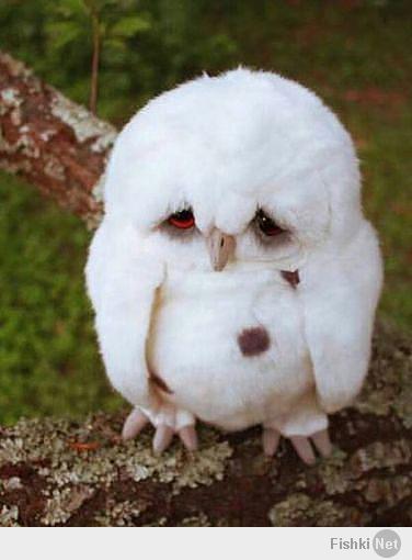 Это мое состояние души...