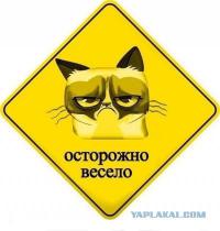 Канадский тролль 