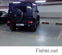 Добра. А этих - могила исправит.