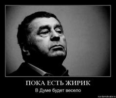 Министерство обороны ответило Жириновскому