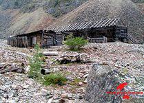 Барак На Баме))))