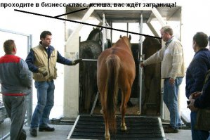 Солянка для Майдана. Часть 86