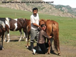 Солянка для Майдана. Часть 86