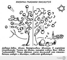 Никого не напрягает, что до сих пор так и говорят теория эволюции? Никто не говорит закон эволюции - успокойтесь уже