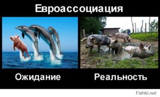 Только таких европейцев и не хватает ЕС для полного счестья