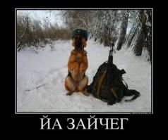 Смешные картинки с подписями