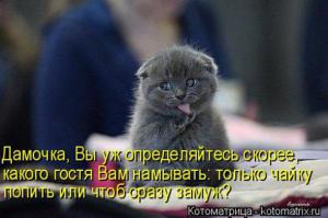 Фишкина солянка на 15.10.2014