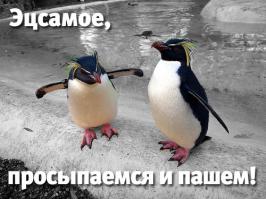 Фишкина солянка за 28.10.2014