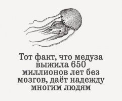 Кто в купе хозяин?