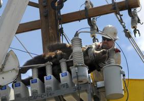 прочитал твой комент, и..