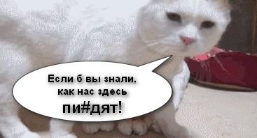 Чем это вы тут занимаетесь?