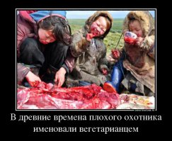 О пользе мяса и вреде йоги