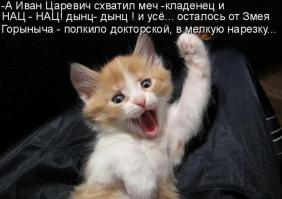  Картинки со смешными подписями