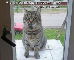  Картинки со смешными подписями