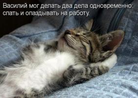  Картинки со смешными подписями