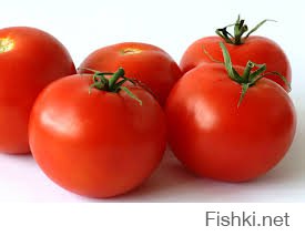 Гигантские помидоры черри: