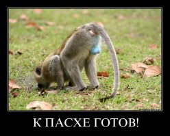 А как вы украшаете яйца к Пасхе?