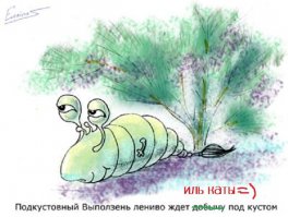 А как же подкустовный выползень?