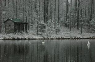 Домик в лесу