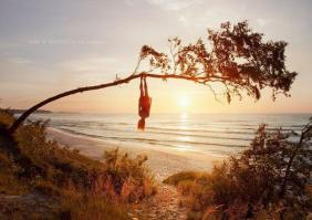 Фишкина солянка за 26.06.2014 