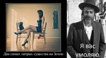 Горячие анекдоты из горящего Израиля