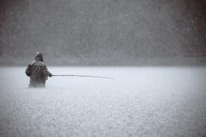 National Geographic: лучшие фотографии июня