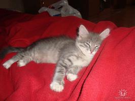 Это моя мелкая несколько лет назад