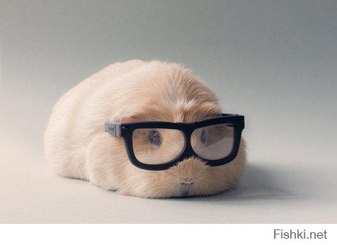 Фишкина солянка за 27.07.2014