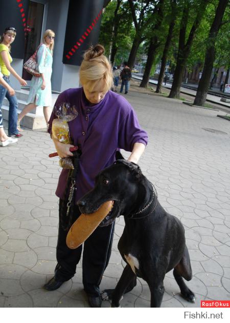 не слюнявь.его еще хозяевам грызть