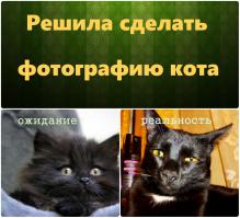 Фишкина солянка за 08.06.2014